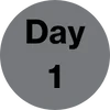 Day 1 icon black text gray background circle