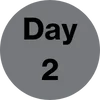 Day 2 icon black text gray background circle